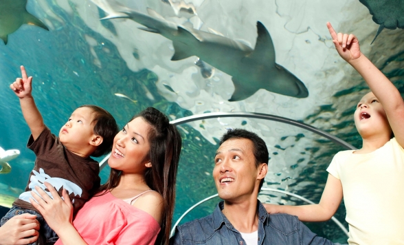 シーライフ入場チケット